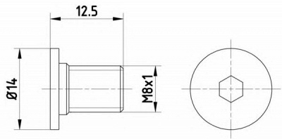 HELLA PAGID 8dz355209021 -  Болт, диск тормозного механизма